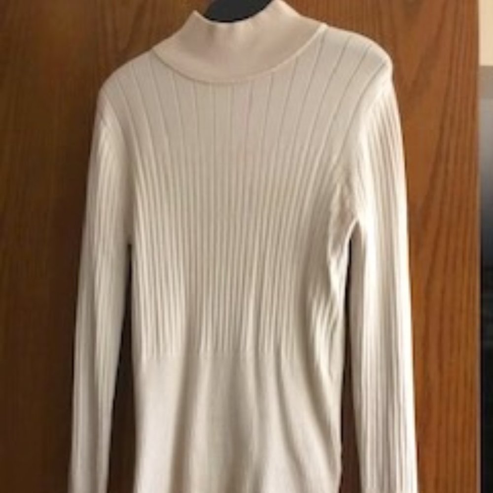 EUC Women's classic turtleneck sweater